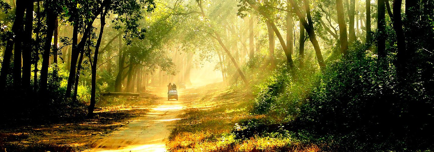Rejuvenate your soul and Mind Rejuvenate your soul and Mind