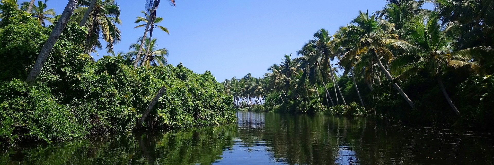 Kerala Honeymoon Packages from Hyderabad - Collection Kerala Honeymoon Packages from Hyderabad - Collection