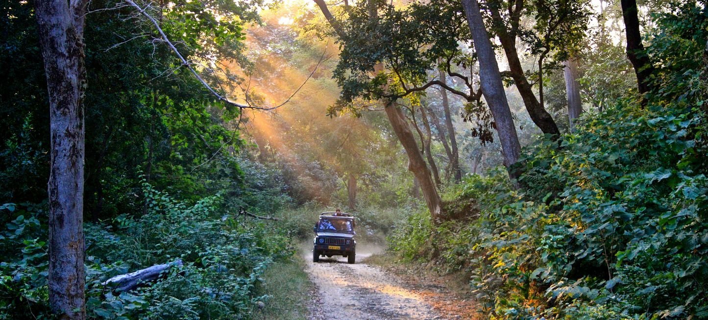 Jeep Safari booking form Jeep Safari booking form